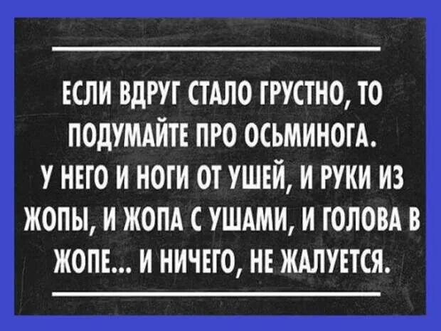 Задом ничего