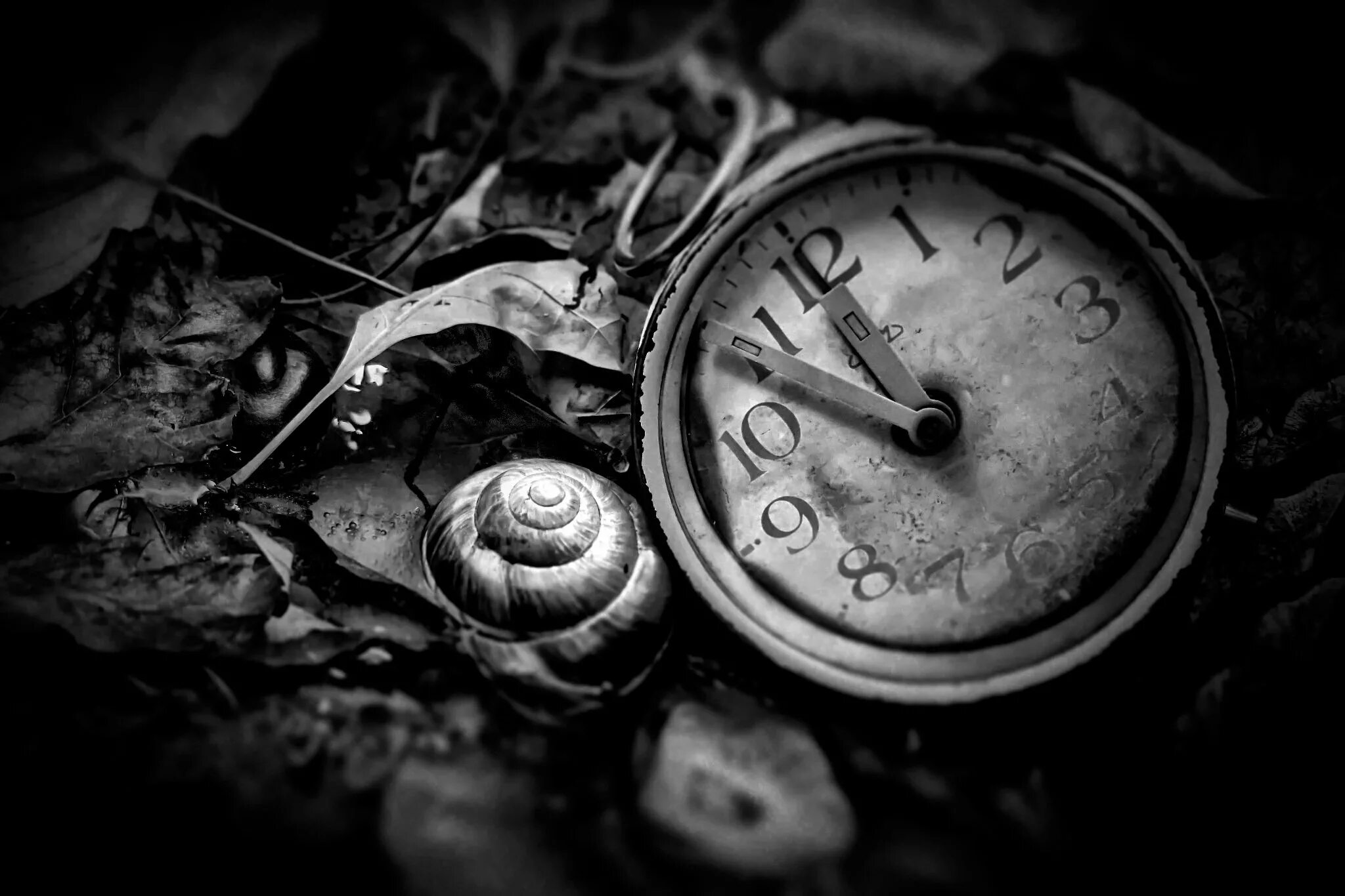 Разбитый время. Часы черно белые. Старинные часы. Страшные часы. Обои с часами.