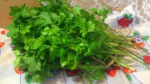 Можно курицам петрушку