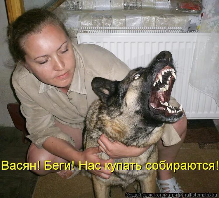 Его и сама выгоню