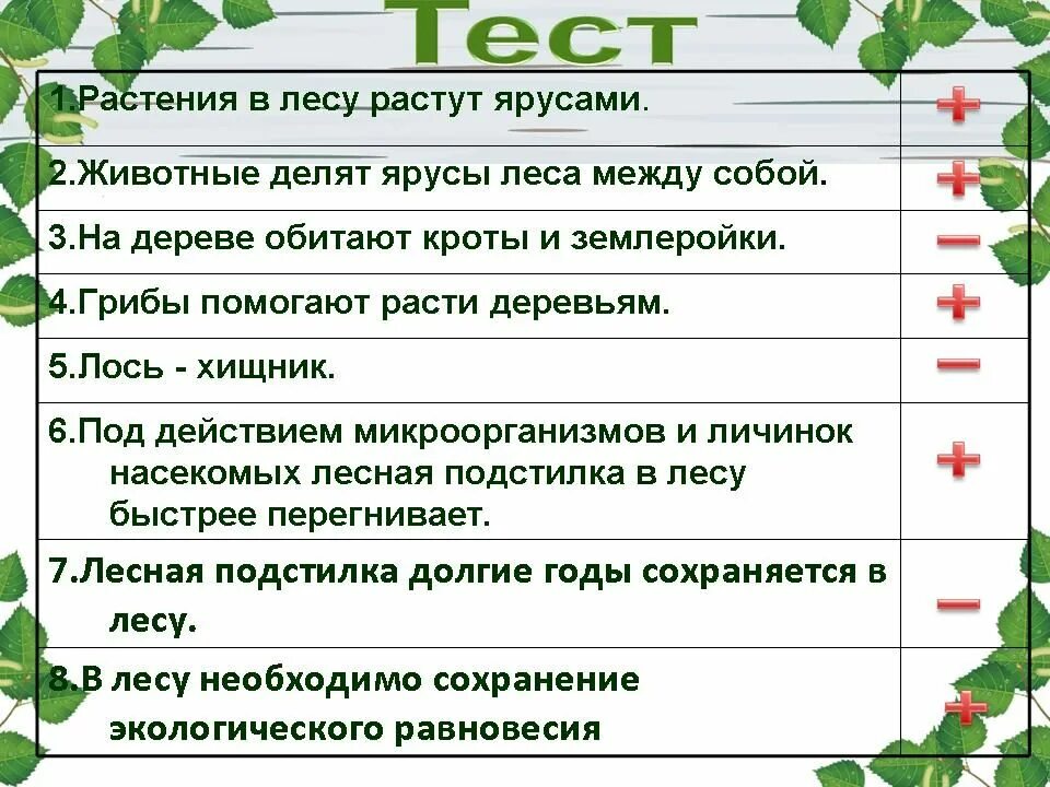 Тест жизнь леса 4 класс окружающий. Растения в лесу растут ярусами. растения леса растут ярусами. растения 3 яруса леса. животные третьего яруса леса.