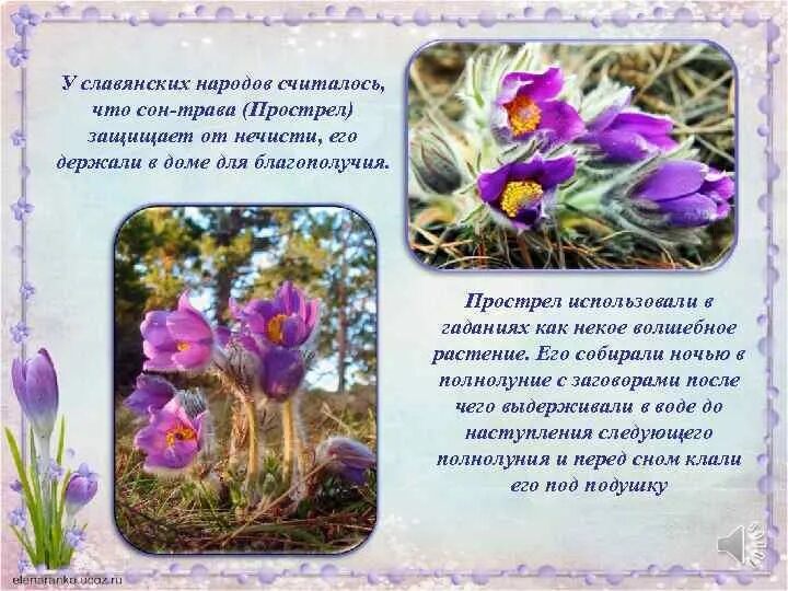 Трава которая режется. Природа зелень. Цитаты про семена. Трава во сне к чему снится. Сон трава в медицине.