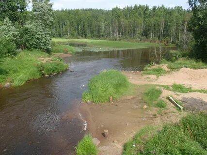 Участок реки между шлюзами 4 буквы