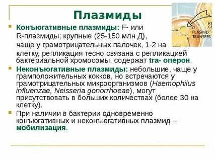 Виды плазмид микробиология