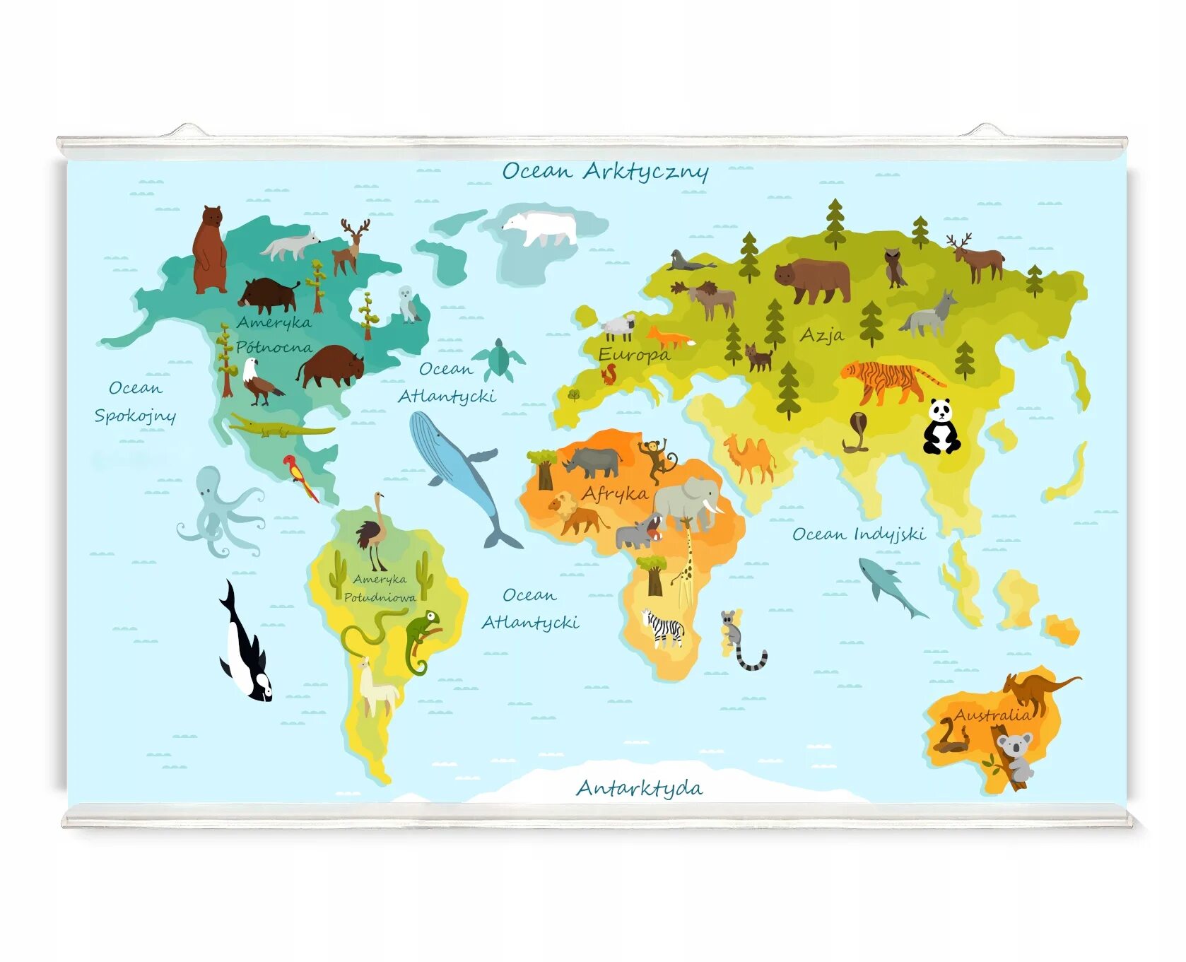 Материки и их обитатели. Материки с животными. Карта мира животные для детей. Карта мира животные. Материки для детей дошкольного возраста.