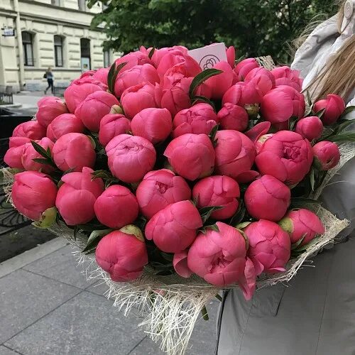 Цветы бердянск