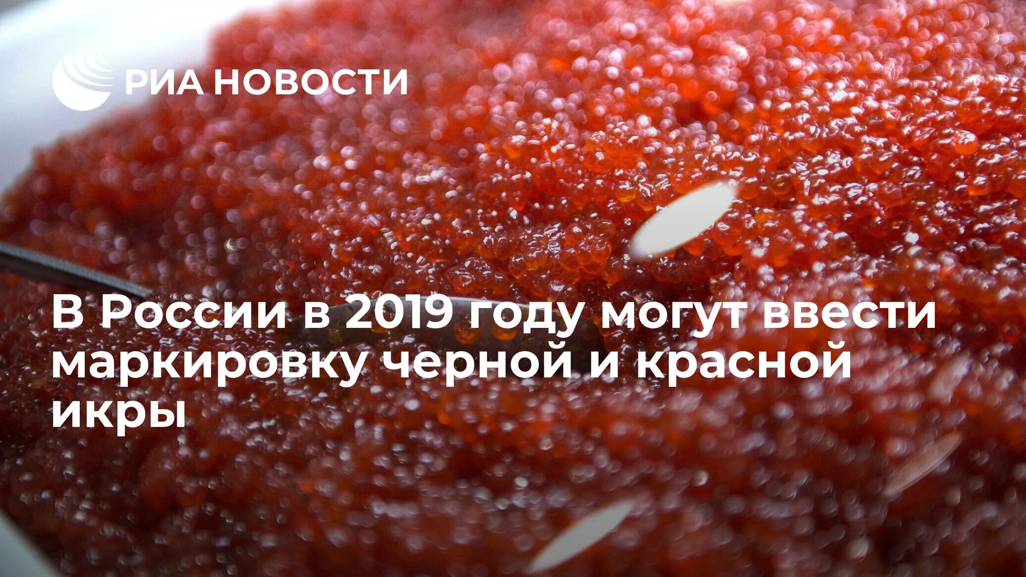 Красная икра после удаления желчного пузыря. Производство красной икры. икра камчатка. красная икра и деликатесы. красная икра при диарее.