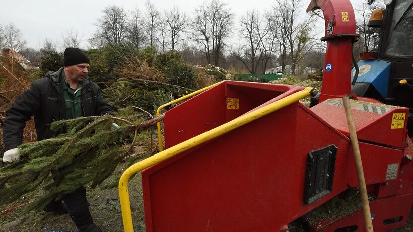 Пункты утилизации елок. Утилизация елок в москве. Утилизация елок. Утилизация новогодних елок в вольерах. Утилизация елок в москве.