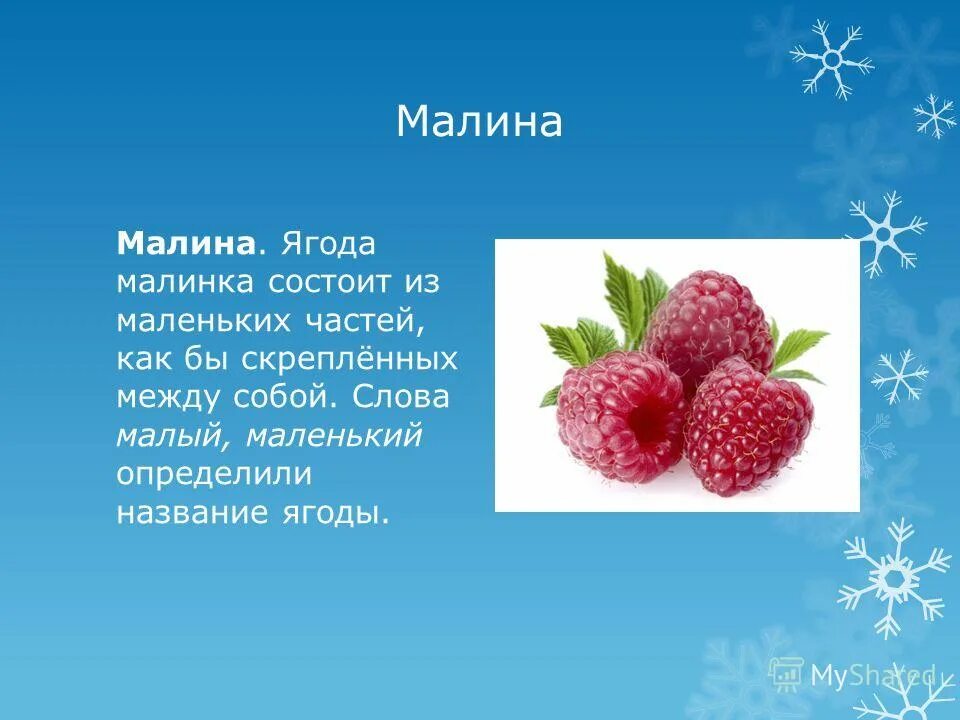 Ягода малина текст. Ягодка Малинка текст. Стих про малинку. Слова ягода Малинка текст. Песня про ягодку