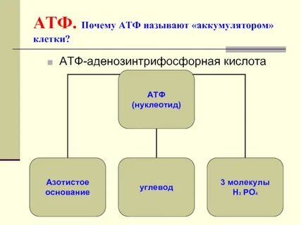 Атф основания