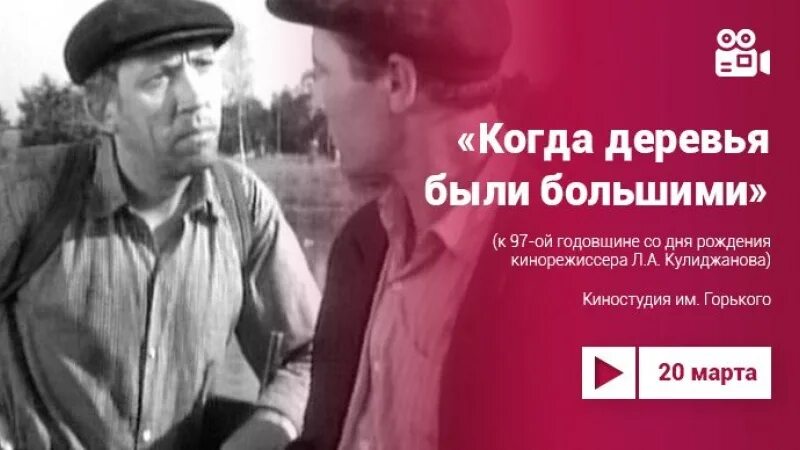 Когда деревья были большими содержание. Шукшин писатель. Когда деревья были большими (1961). Когда деревья были большими содержание. Когда деревья были большими содержание.