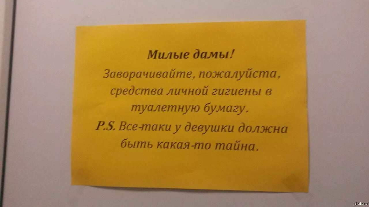 Объявление в женский санузел. Объявление в туалет. Объявления для общественного туалета. Объявление в туалете для женщин.