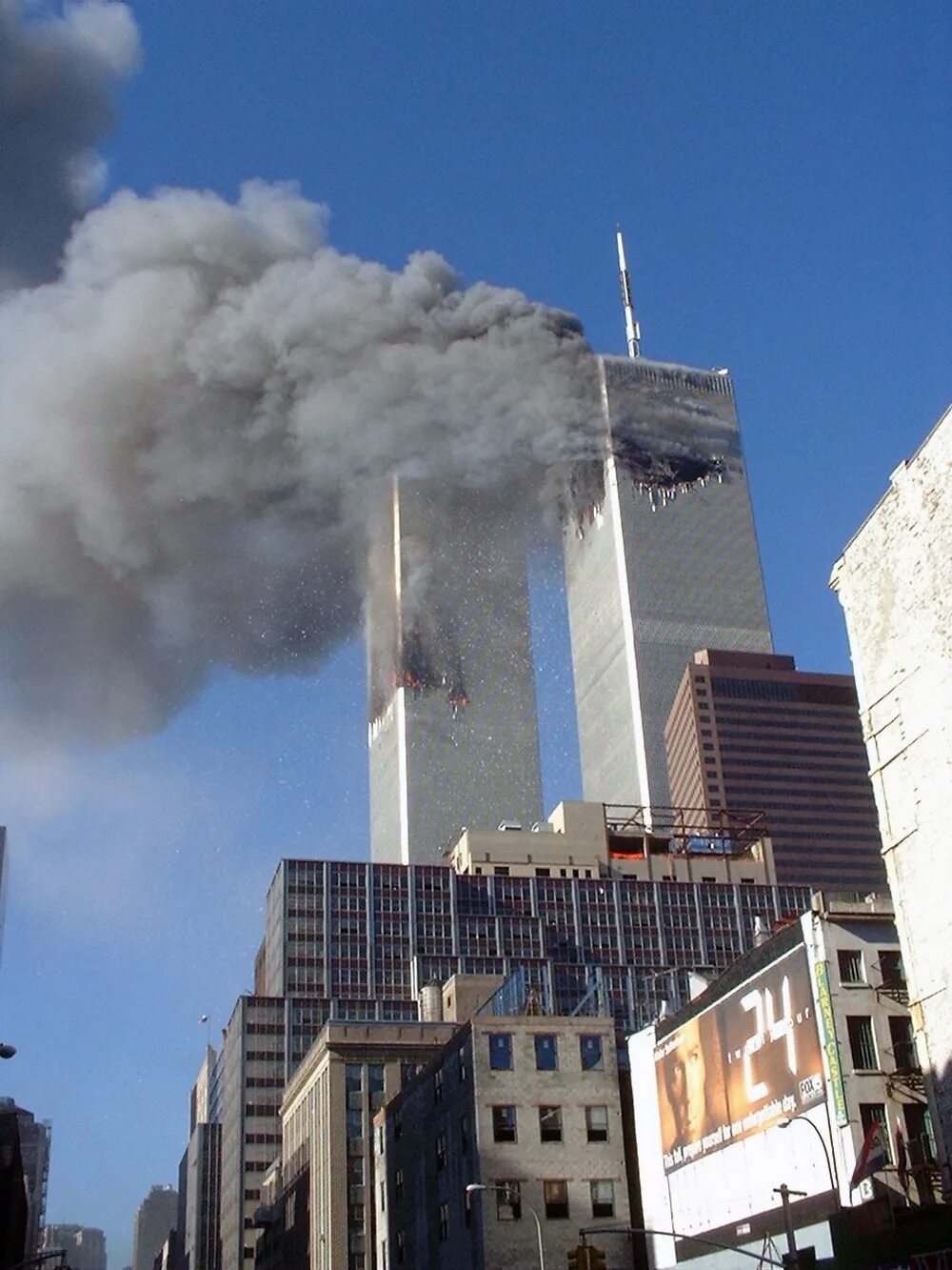 Два близнеца сша