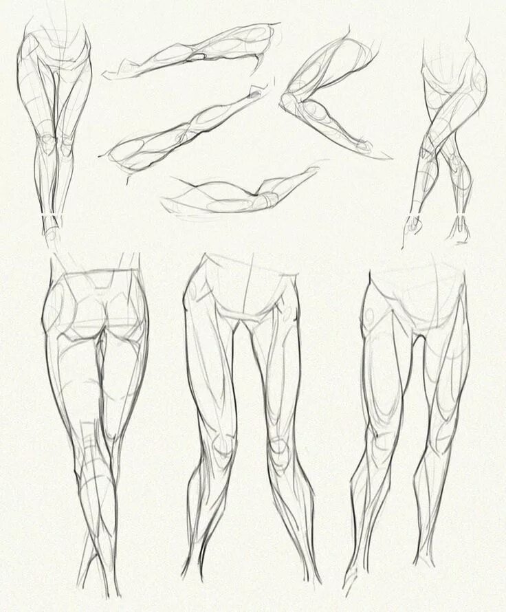 Референс бедра анатомия. Анатомия ноги человека рефенес. Ноги референс анатомия анатомия. Leg drawing. Баммес анатомия руки.