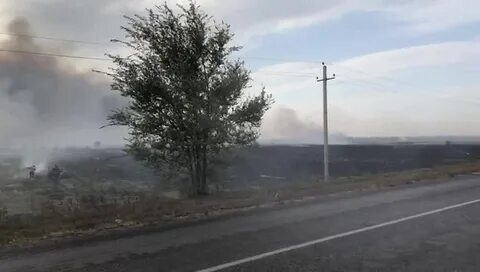 Ростов сухой