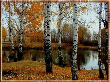 Слушать песню уходящая осень