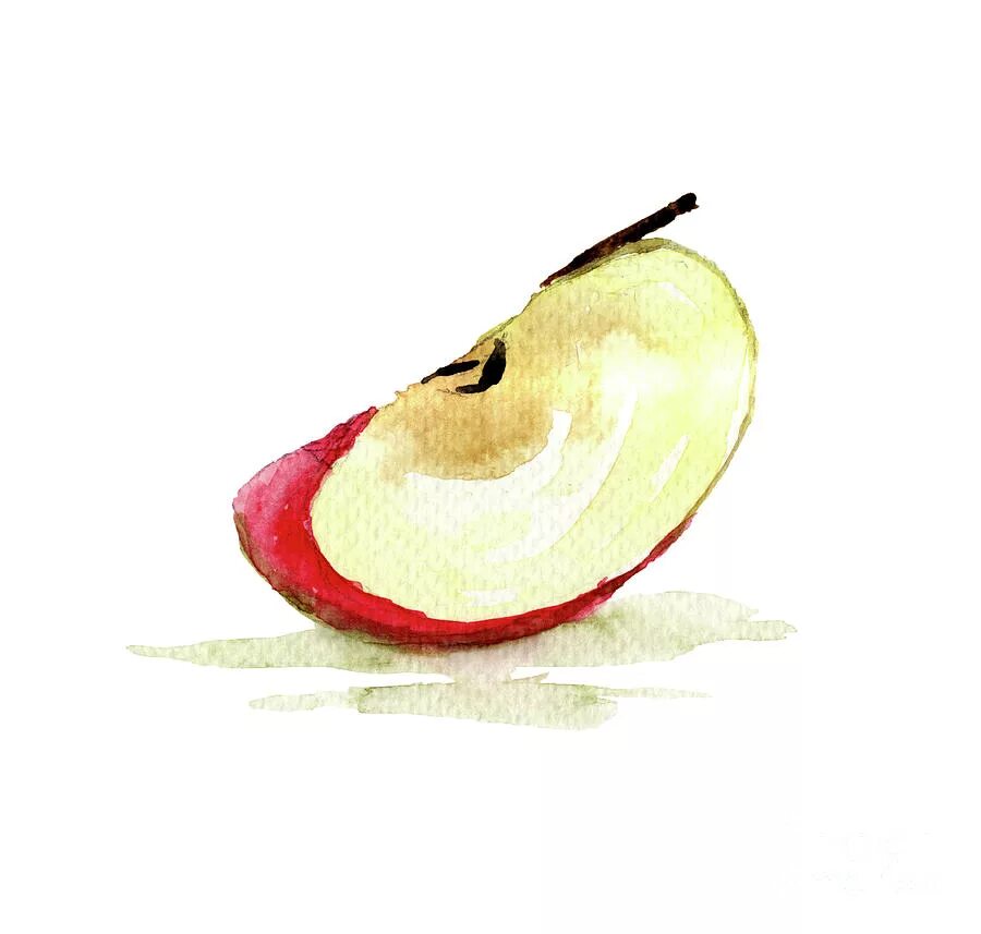 Или кусочек яблока или орешек. Долька яблока акварель. Четвертинка яблока. Долька яблока рисунок. Рисование дольками яблок.