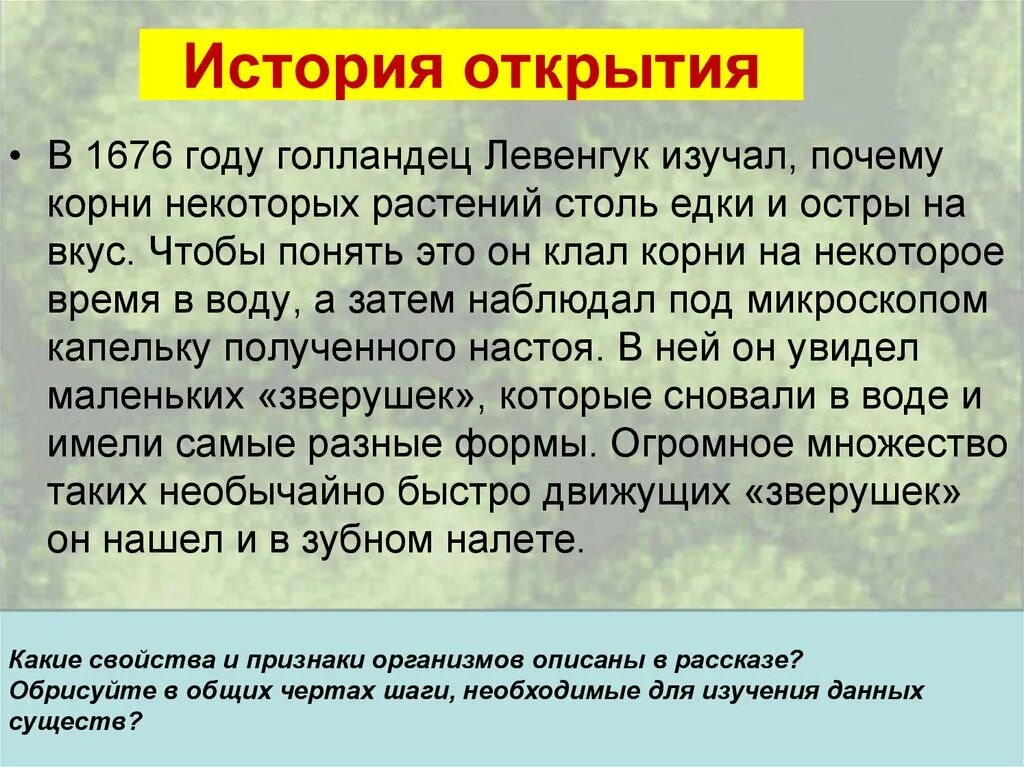 Иметь исторический корень. История корня в математике. «История открытия понятия корня». История происхождения и развития понятия корня. История открытия бактерий.