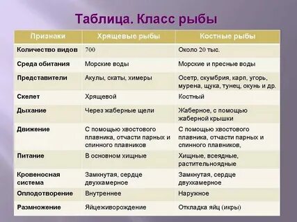 Классы хрящевых рыб таблица