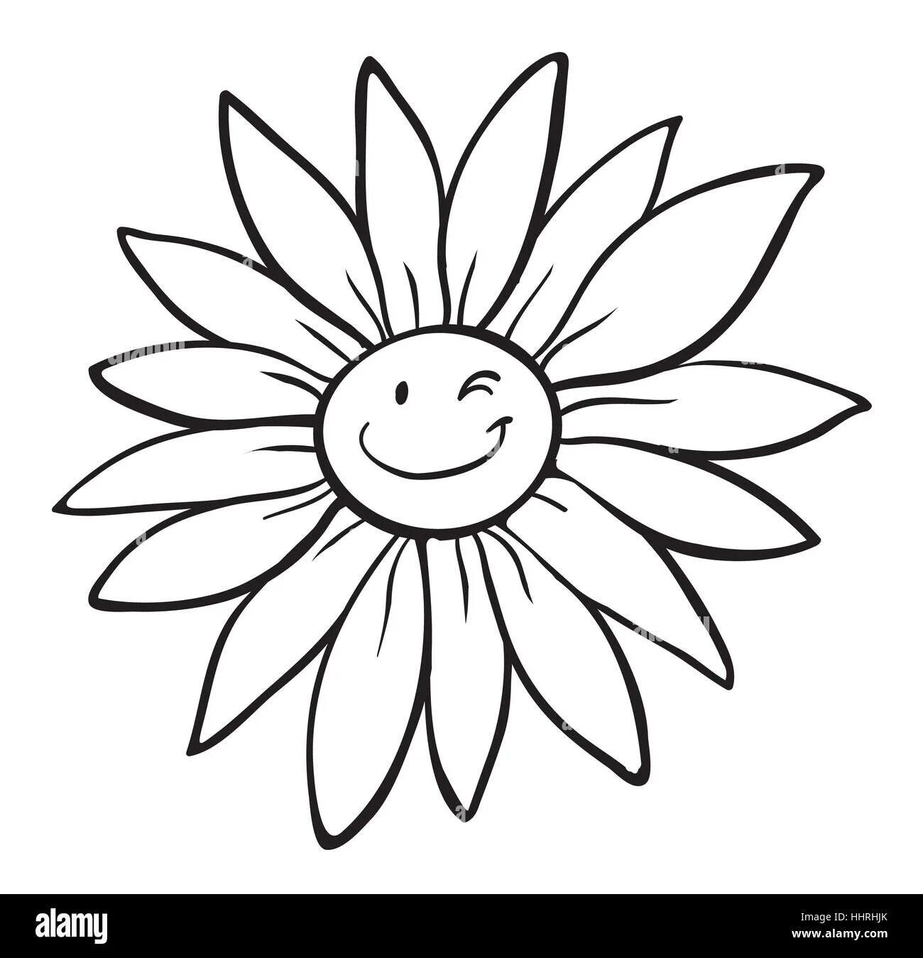 Жёлтый цветок. Агростемма лиловая. Blume. Eine blume. Стихотворение гейне du bist wie eine blume перевод.