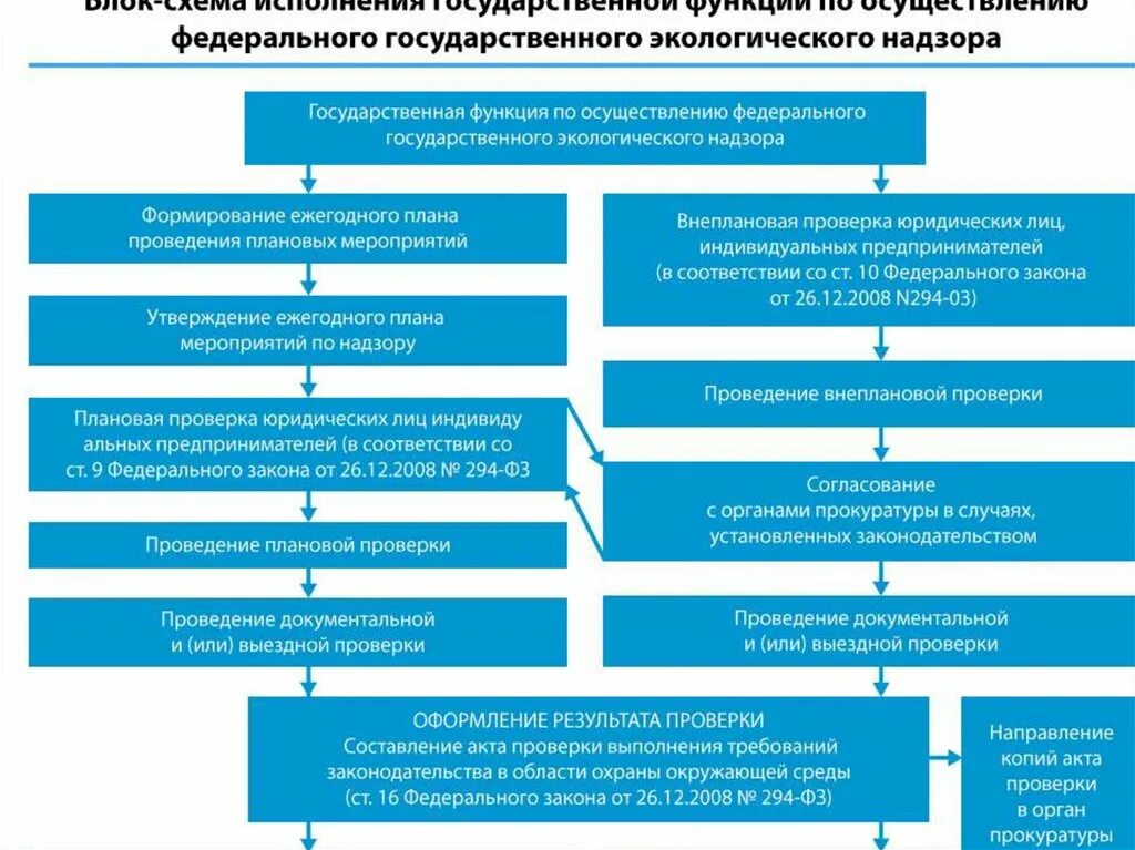 Тест органы государственного надзора. Порядок проведения государственного экологического контроля. Схема проведения контроля. Порядок проведения проверок. Схема проведения выездной проверки.