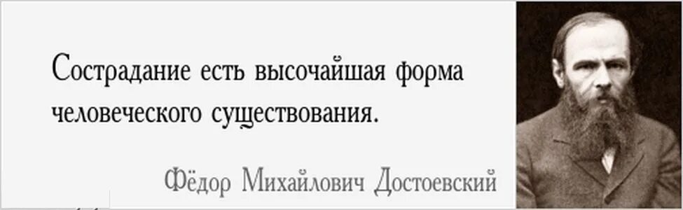 Перестала понимать друзей. Высказывания Достоевского. Цитаты Достоевского. Высказывания Достоевского о жизни. Созидается общество началами нравственными.