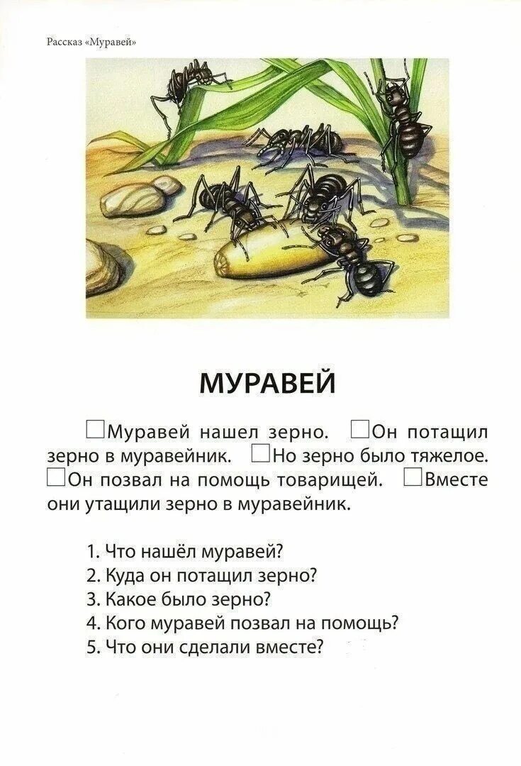 Предложение про муравья