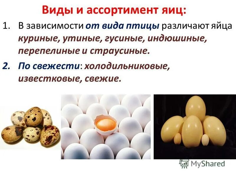 Чем яйцо полезна для человека