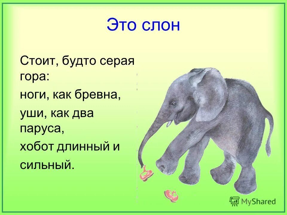 Словно слон текст. Стих про слона. Веселый стих про слона. Стих про слона для детей. Стихотворение про слоненка.