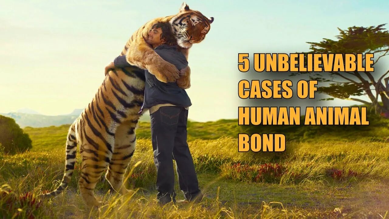 Animals more human