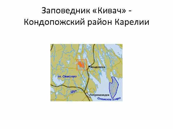 Заповедник кивач план текста. Заповедник Кивач в Карелии на карте. Водопад Кивач в Карелии на карте. Карта заповедника Кивач на карте. Государственный природный заповедник Кивач на карте.