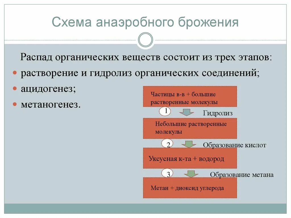 Этапы процесса брожения. Анаэробное брожение. Этапы процесса анаэробного брожения. Анаэробное сбраживание органических отходов. Органический распад