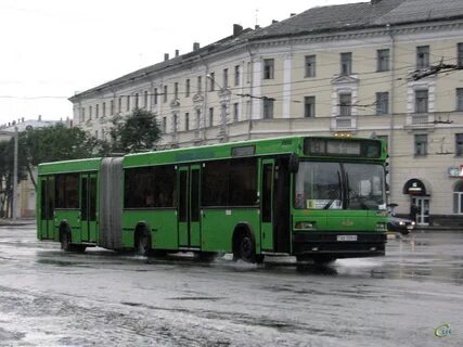 6 могилев