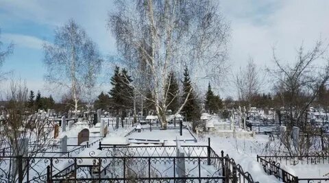 Строительство нового кладбища