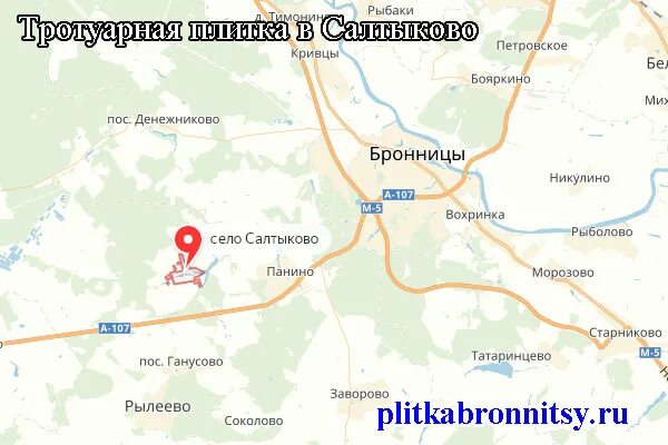 автобусы панино бронницы. расписание 324 с котельников до бронниц. дер панино раменский район. посёлок станции бронницы. село салтыково раменского района на карте.