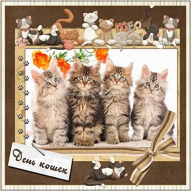 День кошек февраль. День кошек. День кошек открытки. Всемирный день кошек 8 августа. Поздравление с днем кошек.