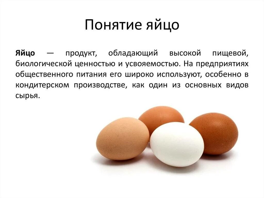 Содержимое яиц. Пищевая и биологическая ценность яиц. пищевая ценность яиц и яичных продуктов. характеристика яичных продуктов. яичные товары ценность.