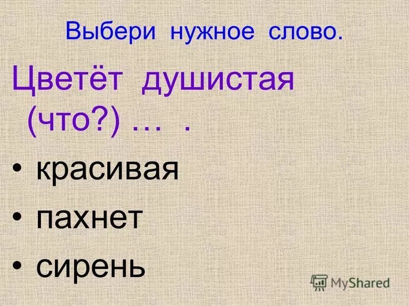 Слово цветет. Слово душистый. Цветёт душистая сирень разобрать каждое слово по составу. Ароматное подобрать слово. Слово прекраснопахнущий.