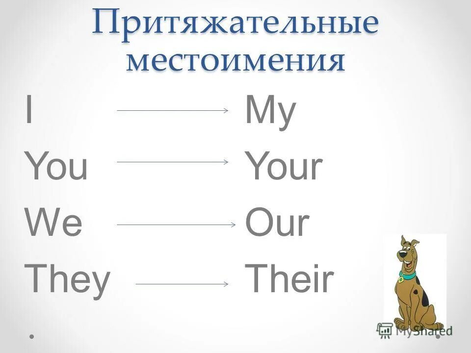 На что указывают притяжательные местоимения. Притяжательные местоимения my your. Задание на my your. Мой притяжательное местоимение. Местоимения your our their.