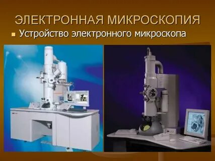 Методами электронной микроскопии изучают