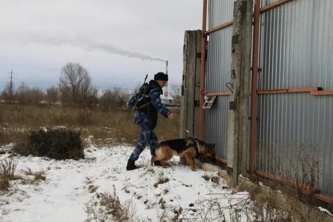 Захватили ик 19 видео