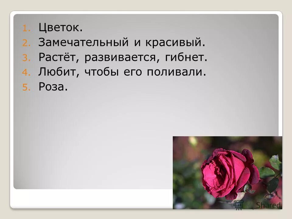 Синквейн цветок. Синквейн растения. Синквейн к слову цветок. Синквейн по сказке Аленький цветочек. Выросла в 3 7 раза