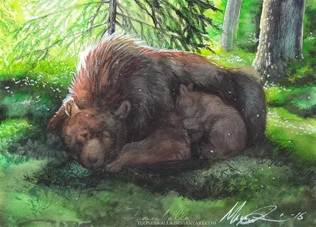 Медведь и заяц