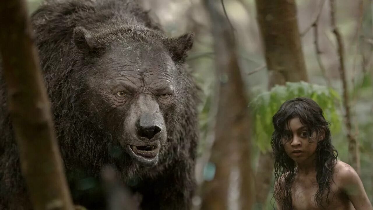 Маугли 2018. Маугли Mowgli 2018. Animal 2018