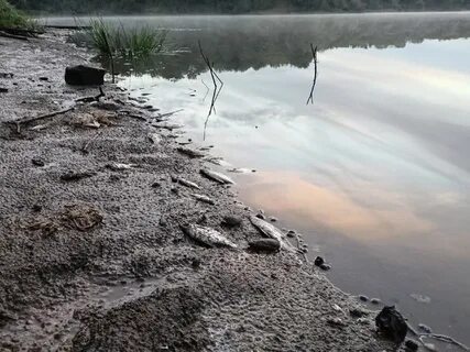 Филейский затон