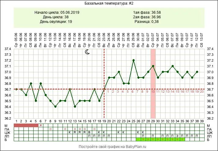 Месячные базальная температура 37. График базальной температуры беременной. График БТ С двойней. Беременный график БТ. График базальной температуры до задержки.