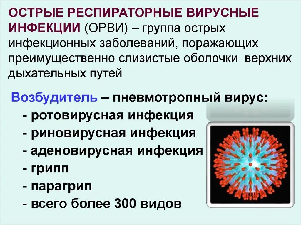 Сколько вирусов орви. Возбудители вирусных респираторных инфекций. Острые респираторные вирусные инфекции. Острое респираторное вирусное заболевание. Вирусы вызывающие респираторные инфекции.