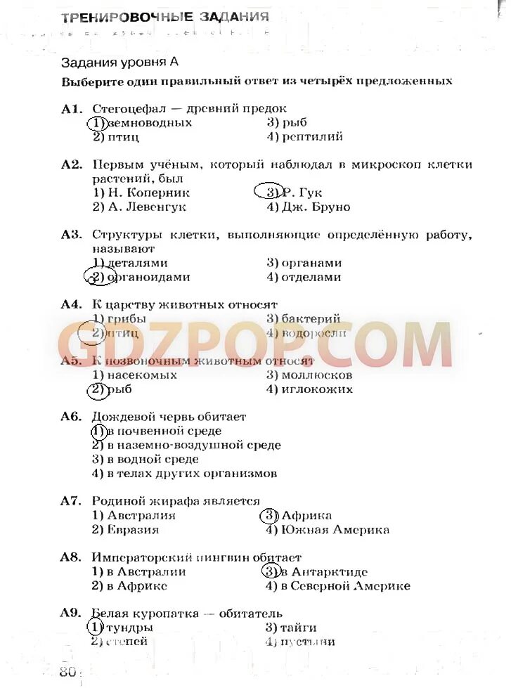 Контрольная работа по естествознанию 5 класс. Контрольная работа по естествознанию 5 класс