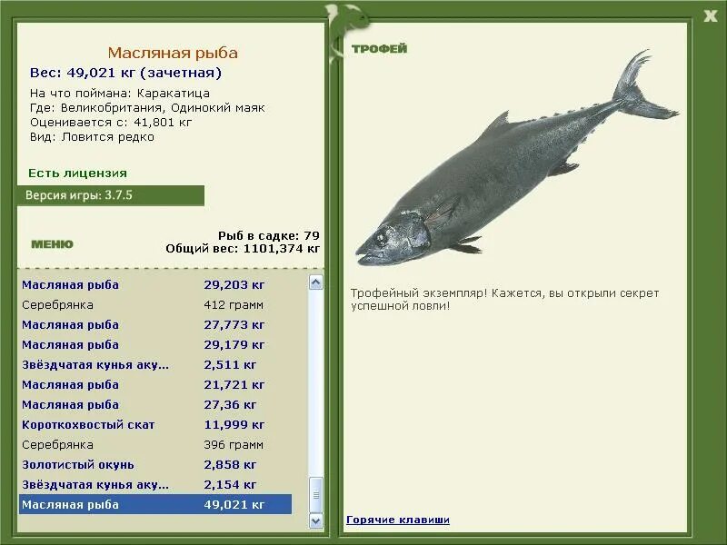 масляная рыба где обитает. где водится масляная. рыба семейства масляных название. морская рыба пампанито. рыба масляная пампанито.