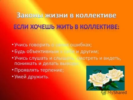 Закон жизни коллектива